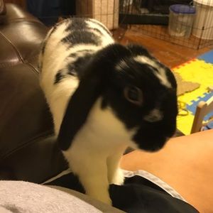 Meet your Posher, Jessica